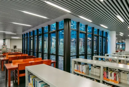 Казино Лайън Уинс Мобилно приложение